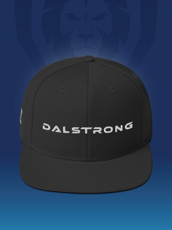 Make It Snappy Snapback Hat - Front to Back Logo | Apparel | Dalstrong © Supply