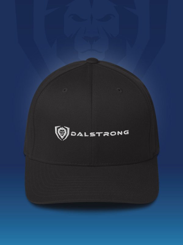 I Like Your Fit Twill Cap - Classic Logo Online
