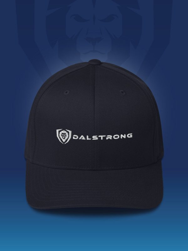 I Like Your Fit Twill Cap - Classic Logo Online - Image 2
