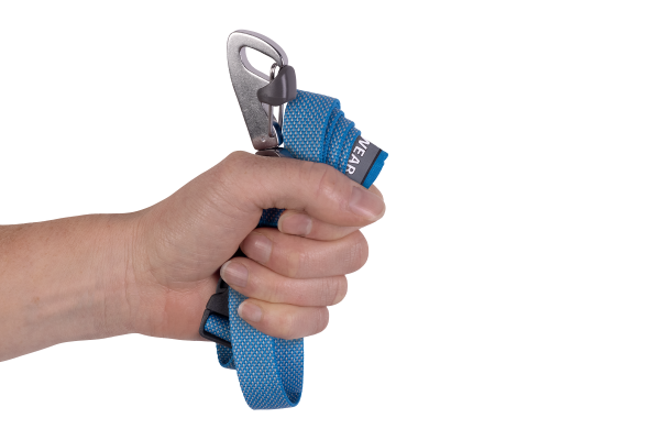 Flagline™ Dog Leash on Sale - Image 5